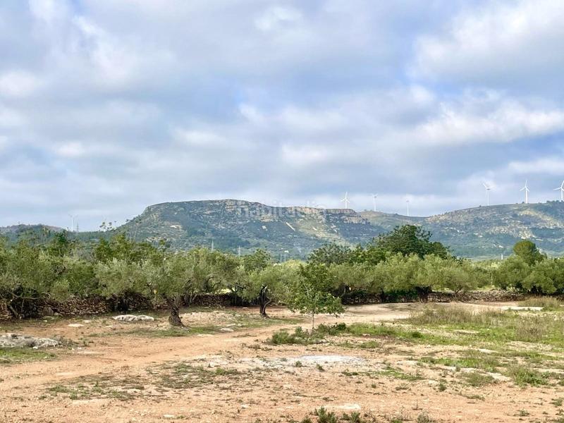 Foto 1d803833-bfb8-4c2d-9499-c0e4264e5145. Casa finca rústica con agua, licencia para construir almacén agrícola y vistas al mar. en Camarles