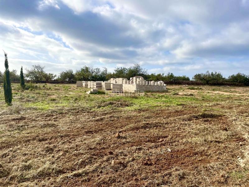 Foto 37dc62bb-35cf-42f2-b168-a2e1584dd9b2. Casa finca rústica con agua, licencia para construir almacén agrícola y vistas al mar. en Camarles