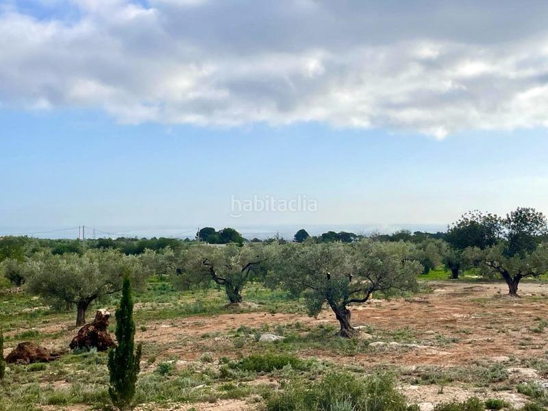 Foto 6f0bdc3a-a310-4261-9679-084094b31ca9. Casa finca rústica con agua, licencia para construir almacén agrícola y vistas al mar. en Camarles