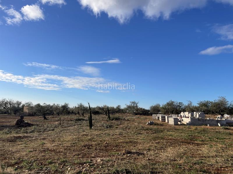 Foto 7e7a3f3b-bb42-4cdf-9538-74d1cb842968. Casa finca rústica con agua, licencia para construir almacén agrícola y vistas al mar. en Camarles