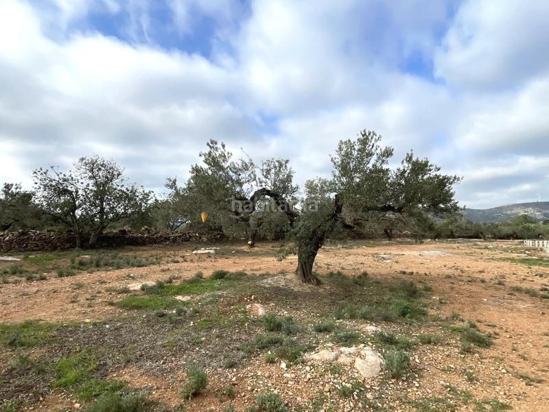 Foto 9156a639-5bd4-4907-80f6-cef467c384d0. Casa finca rústica con agua, licencia para construir almacén agrícola y vistas al mar. en Camarles