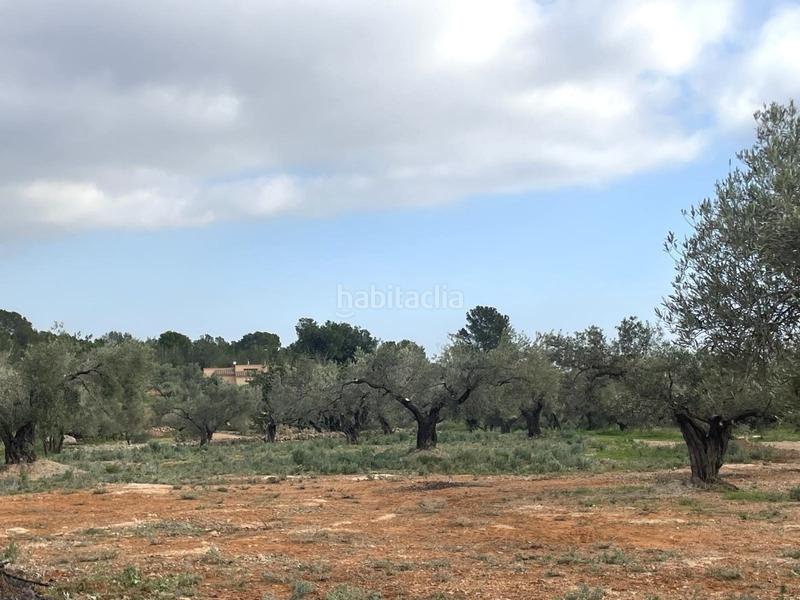 Foto f40d3169-73c3-454e-b883-0c66513cc0b7. Casa finca rústica con agua, licencia para construir almacén agrícola y vistas al mar. en Camarles