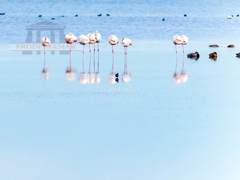 Foto 35341756-873c-4a50-a7be-b263b6c91255. Duplex in Ampolla (L´)