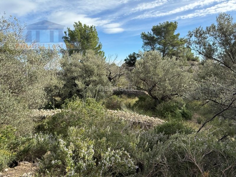 Foto 1895af1e-7e6d-4dd6-b710-3e2bd3f8a117. Masia a Urbanitzacions Tortosa