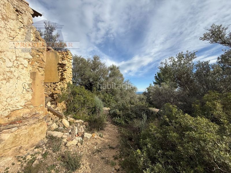 Foto 461100f1-29fb-43c9-80ca-727abb896319. Masia a Urbanitzacions Tortosa