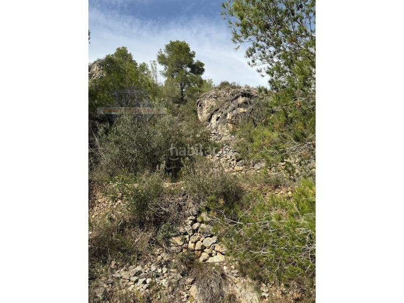 Foto 5b986ed5-f8ee-46b5-bc49-fb8c7c36e4fb. Masia a Urbanitzacions Tortosa
