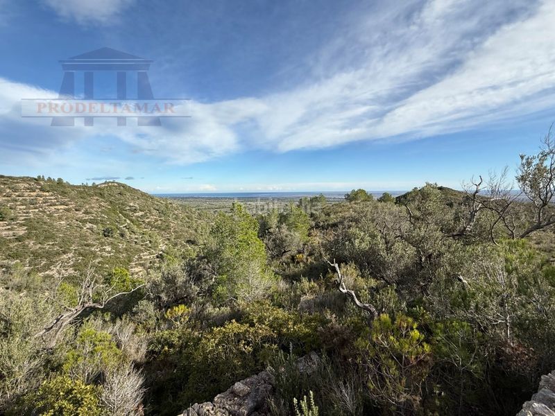 Foto ae7b3e73-fa87-4094-b047-f6ebaaf17a15. Masia a Urbanitzacions Tortosa