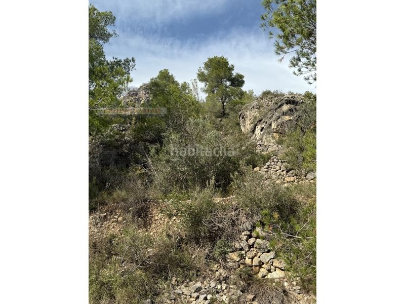 Foto bfa63078-111a-4e53-9abb-452dd5fe6acc. Masia a Urbanitzacions Tortosa