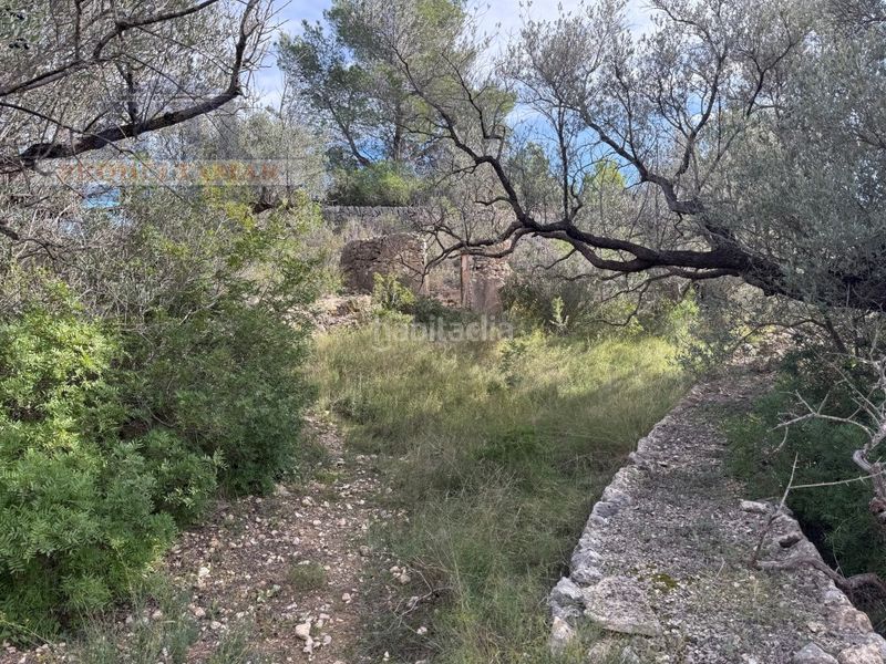 Foto cd1ab815-6886-4113-8ea3-db43140a7412. Masia a Urbanitzacions Tortosa