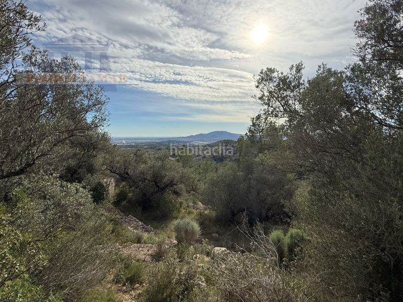 Foto dae69306-a03f-425e-b473-fcc379c8c530. Masia a Urbanitzacions Tortosa