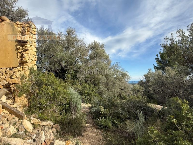 Foto dc03d1c0-02a5-46b9-8f70-7cd403e2d40b. Masia a Urbanitzacions Tortosa