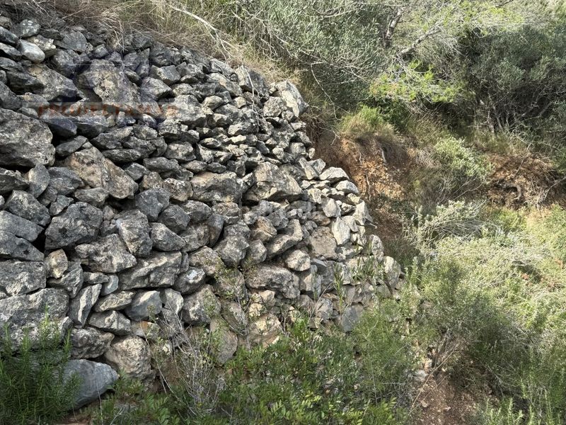 Foto e85a6e83-c611-4a0f-a07f-cf8255a2720a. Masia a Urbanitzacions Tortosa
