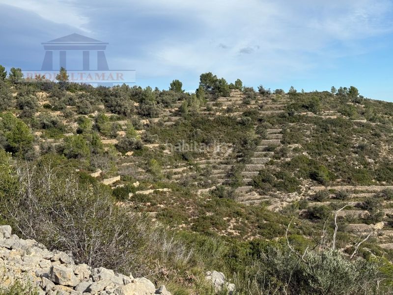 Foto f54c2110-2efb-45c2-8d5c-0731fff73701. Masia a Urbanitzacions Tortosa