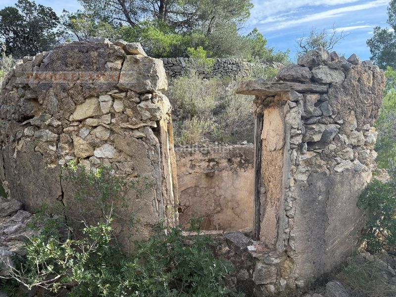 Foto f709f855-d551-4ca2-b412-8986537a5716. Masia a Urbanitzacions Tortosa