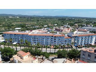 Appartement  Avenida generalitat. Vive lampolla! bajo con jardín privado