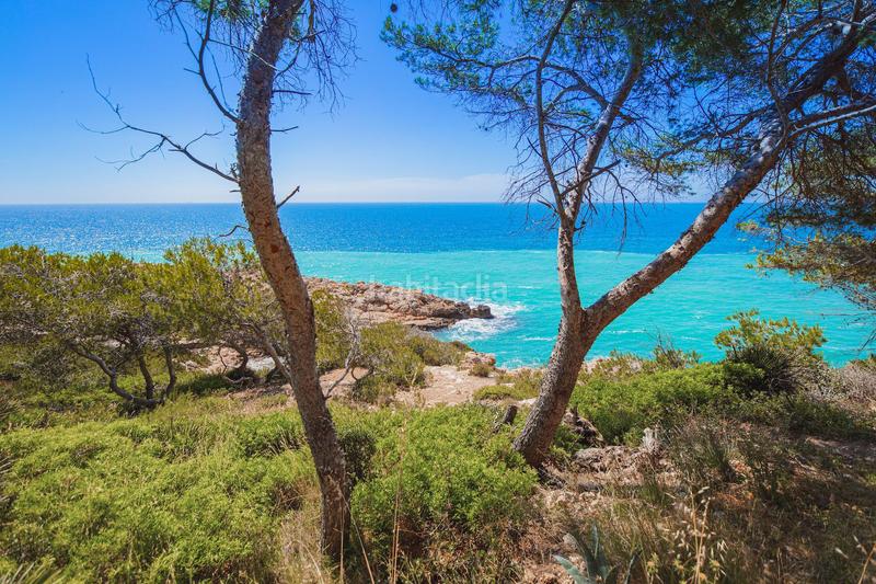 Foto cbdd34f0-8596-41fc-a621-51537f696eb3. Chalet 1500m2 con casa en cap en pla de maset - cap de Salou Salou