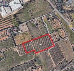 Residential Plot in De jaume ferran 11