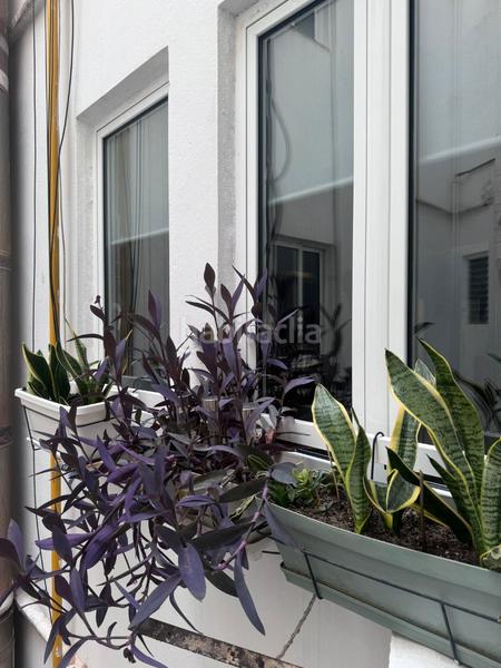 Foto 79fb0f21-6842-478a-84b4-48ddae4504ce. Pis a Barrio de Patraix Valencia