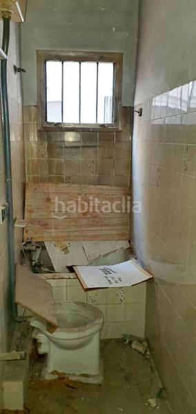 Foto 47515af1-b630-4d21-9856-3c5a7bc0b330. Pis a El Botànic Valencia