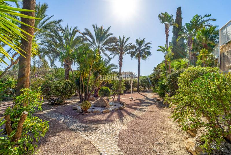 Foto 4b9be02f-1833-4de7-9549-5628ae5ec077. Xalet amb calefacció aparcament piscina a Pueblo Acantilado-Lanuza Campello (el)