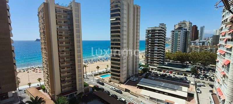 Foto 12080ec6-de89-44d2-b004-fd6a2908cf56. Pis a Playa Levante Benidorm