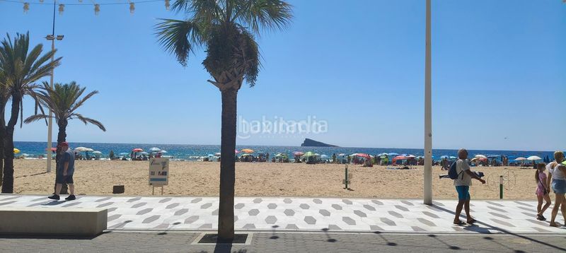 Foto 61bfde0a-08e5-470c-a681-b6360609b0d8. Pis a Playa Levante Benidorm
