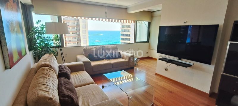 Foto 6a91e154-ec17-49d1-af6a-74989ae579d1. Pis a Playa Levante Benidorm
