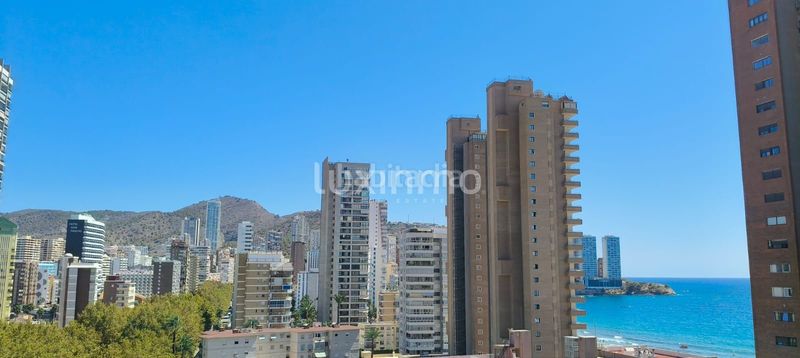 Foto 823e3d0b-091d-4d82-9fcf-7faa331e93c3. Pis a Playa Levante Benidorm