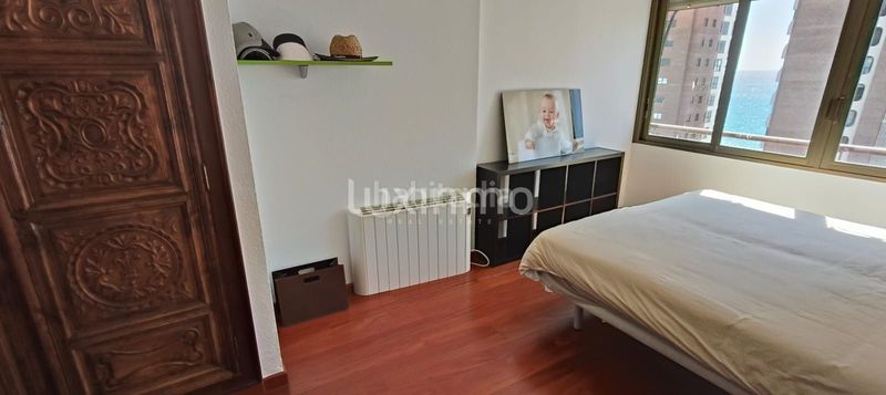 Foto ab32e9fc-dab2-4551-b256-d85676ae231f. Pis a Playa Levante Benidorm