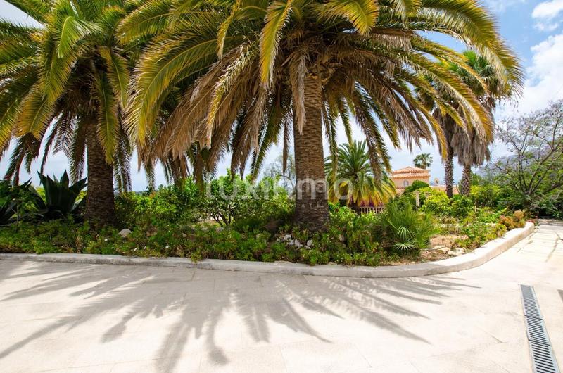 Foto f7a5cfaf-e001-4ed3-8195-c2fc9e51b44c. Chalet se vende una preciosa casa rústica reformada e en Calp