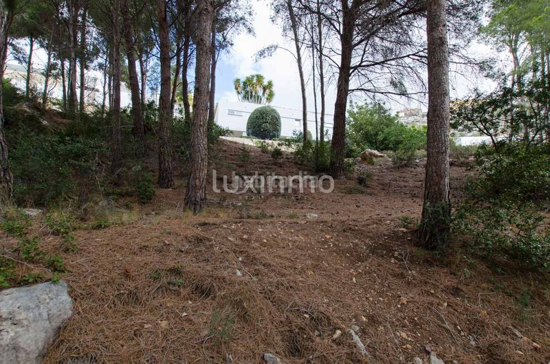 Foto e5cc97f6-b1c2-4127-a6d5-b1ded6f29c4f. Terreny residencial a Altea hills Altea