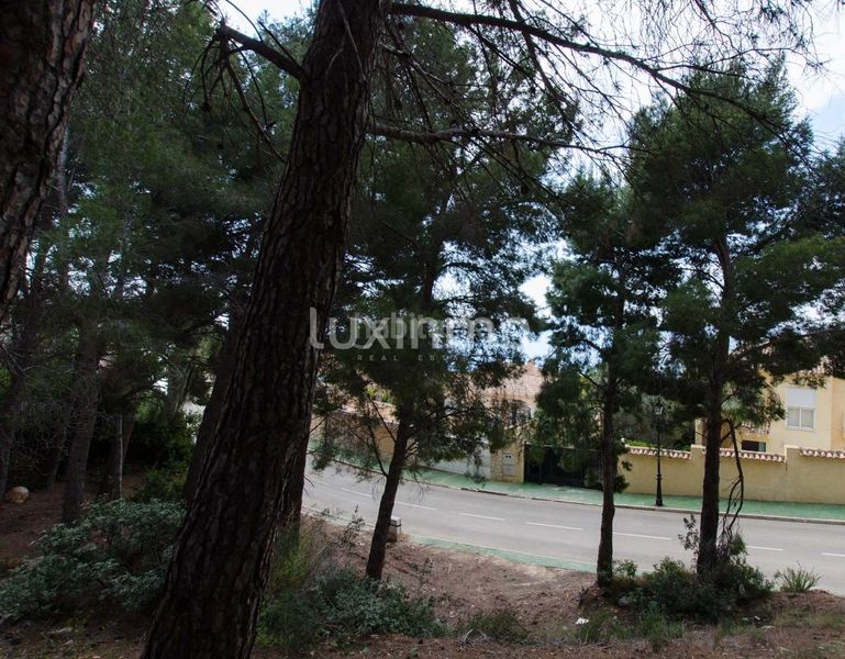 Foto f5d3c32a-cc80-49bf-9f2b-99cf027896a2. Terreny residencial a Altea hills Altea