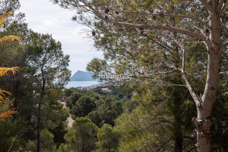 Foto 77b5281b-d1e5-46e5-a7b2-8d9490f1c6bd. Wohngrundstück in Altea la vella Altea