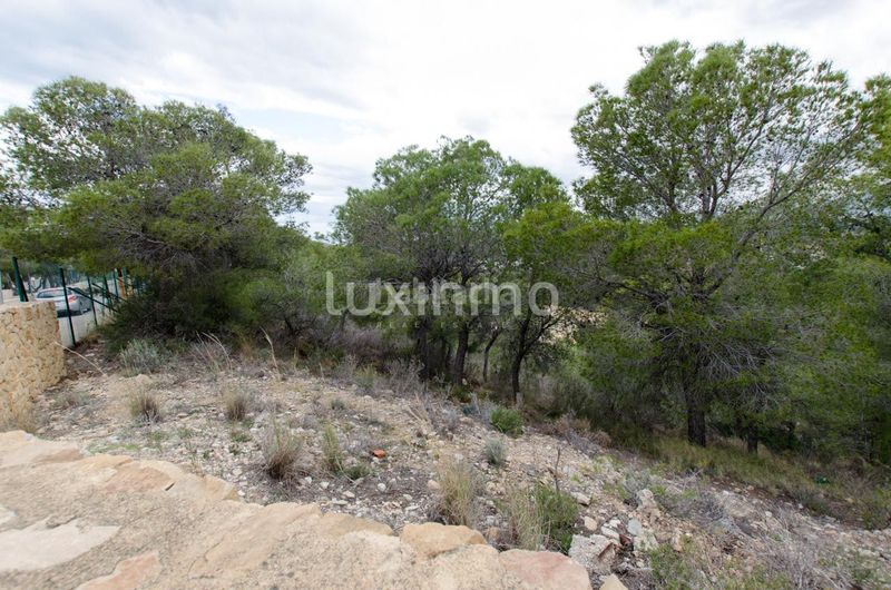 Foto 54a95462-7c42-49f6-b167-317e1780d4a6. Terreny residencial a Altea la vella Altea