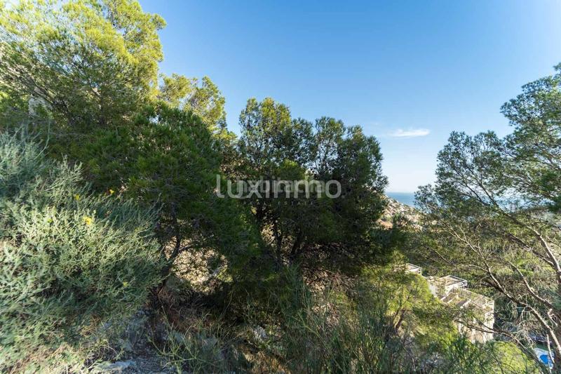 Foto d1b84b71-dcab-4b9d-9647-d196e819fd34. Terrain résidentiel dans Altea hills Altea