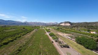 Terreno residencial en Pego. Dos parcelas contiguas en pego