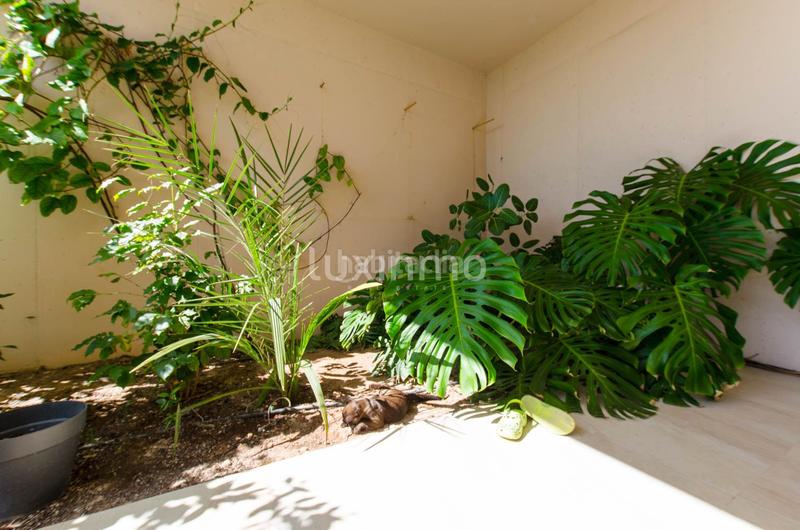 Foto e04dfd79-a42a-4de9-92a5-f7e0f4c55982. Chalet avec chauffage parking piscine dans Altea hills Altea