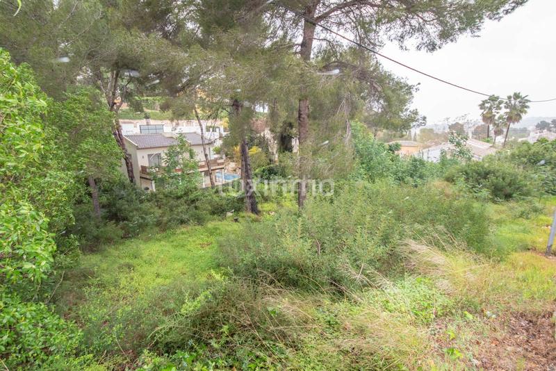 Foto 04f0d0fd-7df8-43ad-8c71-a6bf3f3fc09f. Terreno residencial parcela en javea en zona de tosalet en Xàbia