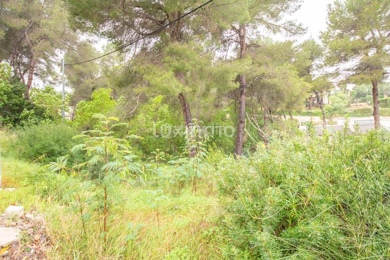 Foto 475ade9d-2bc9-4cdd-9323-d8360f79a186. Terreno residencial parcela en javea en zona de tosalet en Xàbia