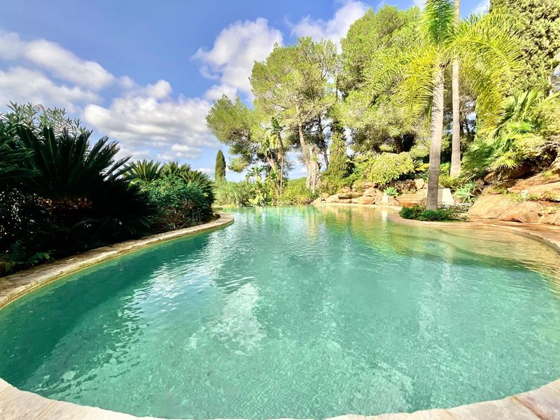 Foto 5415dd71-afa0-4c0a-a74b-4ca9e72d4dd5. Xalet amb calefacció aparcament piscina a Santa Eulària des riu Santa Eulària