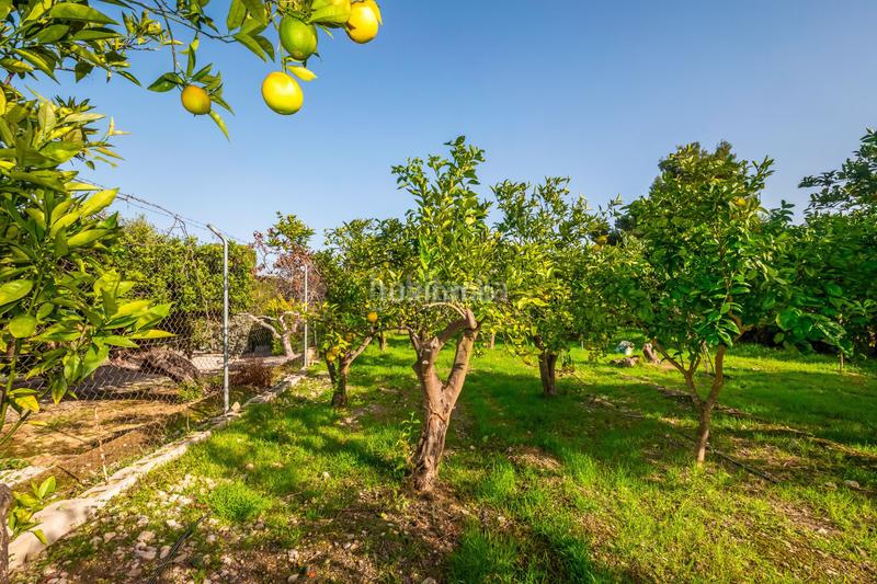 Foto 50caef34-7946-493d-9adb-806c03a25936. Chalet preciosa mansión con piscina en venta en Altea ciudad Altea