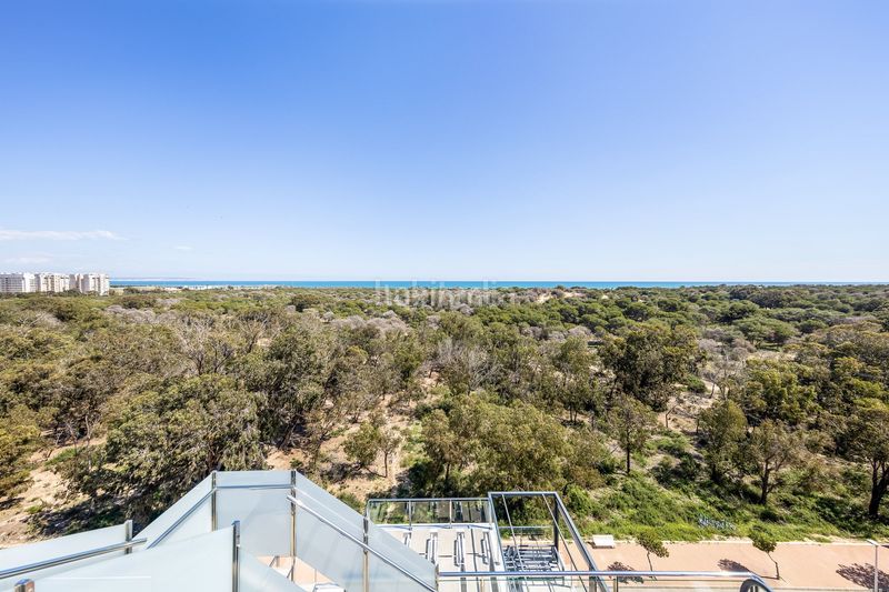 Foto d64d5ca9-ef5c-49ed-9085-a65bcd809609. Penthouse with heating parking pool in Puerto Deportivo Guardamar del Segura