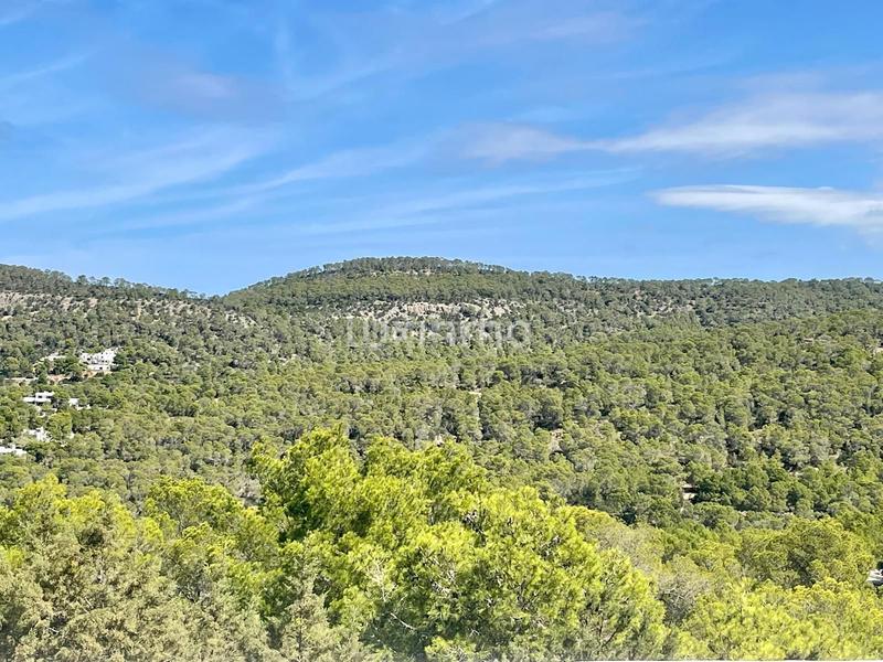 Foto 547be61b-bdaa-4074-8550-42ac0be5faea. Appartamento con parcheggio piscina in Cala Vedella-Cala Tarida Sant Josep de sa Talaia