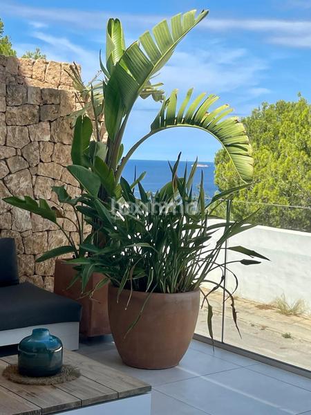 Foto 82c8021d-358f-422e-b667-f4771bf22d46. Appartamento con parcheggio piscina in Cala Vedella-Cala Tarida Sant Josep de sa Talaia