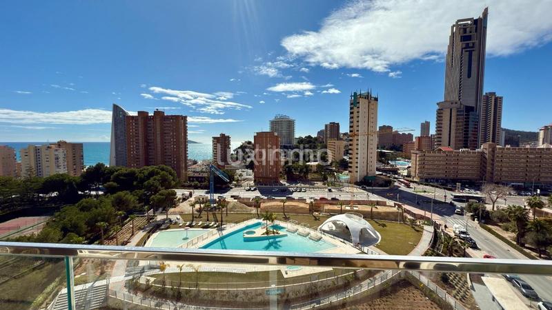Foto 5b10a118-1862-4e21-96ec-60eb056ccb62. Appartamento con parcheggio piscina in Playa Poniente Benidorm