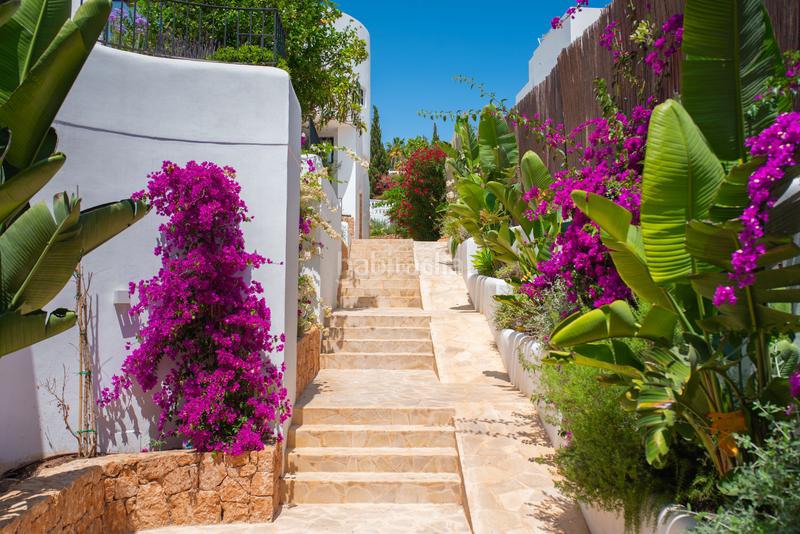 Foto 5c69c4a6-d729-41bd-a2c9-288c10836bb5. Xalet amb calefacció piscina a Jesús Santa Eulària