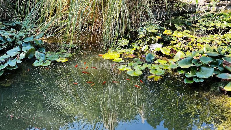 Foto 187059d1-61a9-4c5a-87c1-a5a2038a1261. Xalet amb aparcament piscina a El Montgó Dénia
