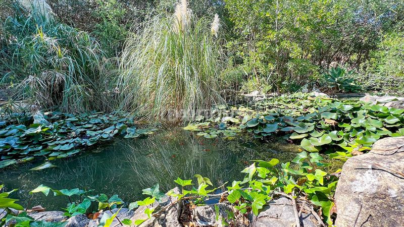 Foto dbf0d168-9a92-4934-91fc-e1f44b265b18. Xalet amb aparcament piscina a El Montgó Dénia