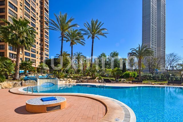 Foto 0b823c45-f862-425d-8924-9a3eacf1d6ea. Pis amb piscina a Playa Poniente Benidorm