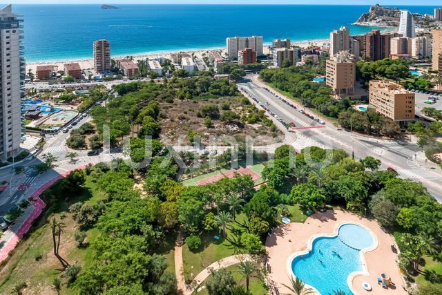 Foto 47f34ee6-cdc1-49cd-ae9d-4552a203ab0b. Pis amb piscina a Playa Poniente Benidorm
